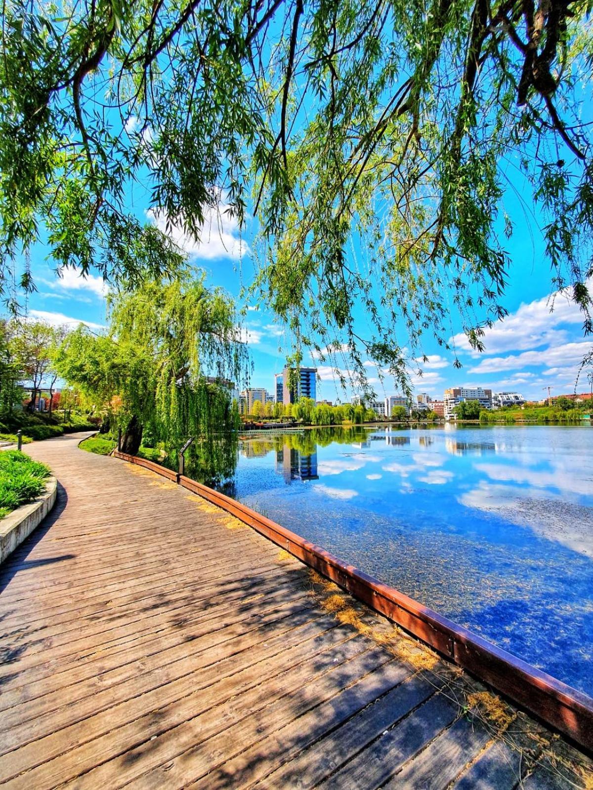 Meb Apartments - Park Lake Cluj-Napoca Esterno foto